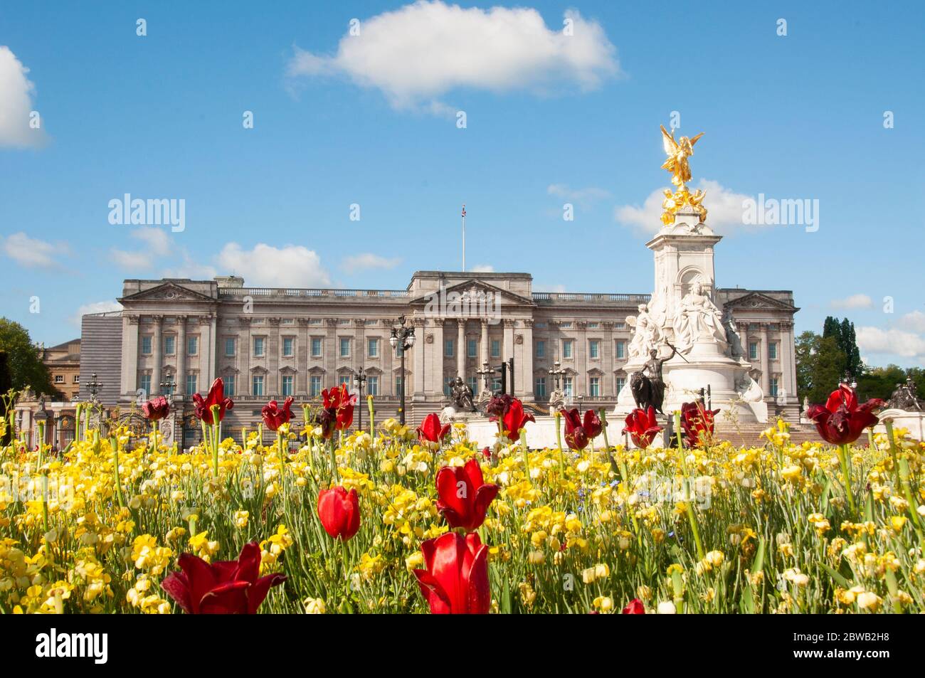 Buckingham Palace photographié par beau temps pendant le confinement provoqué par la pandémie du coronavirus. Personne. Fleurs en premier plan. Format paysage. Banque D'Images