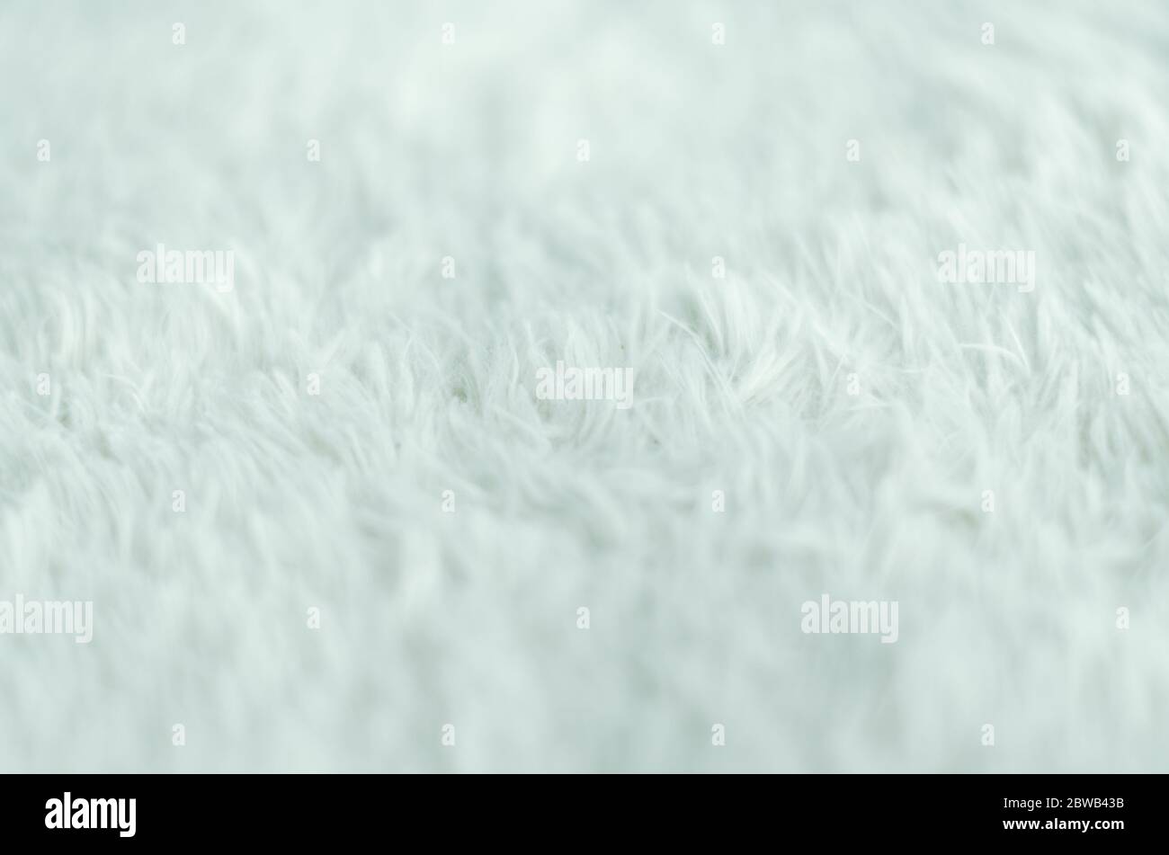 Un fond de tapis à fourrure blanche avec une mise au point au milieu du cadre. Banque D'Images