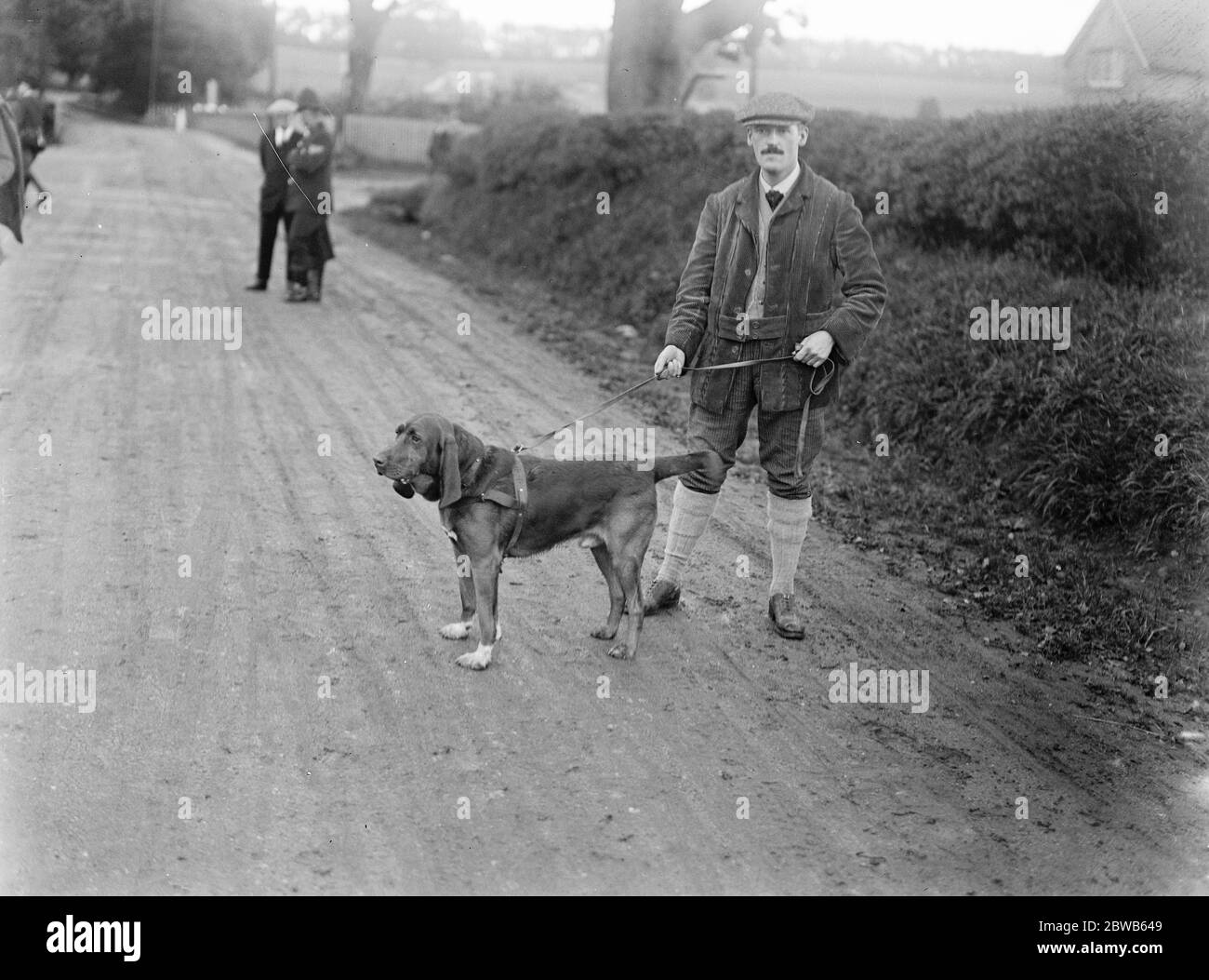 Détectives de chiens . Essais de chasse à Savernake . M. Theo Crowder et son célèbre chien de sang Sancho . 26 septembre 1922 Banque D'Images