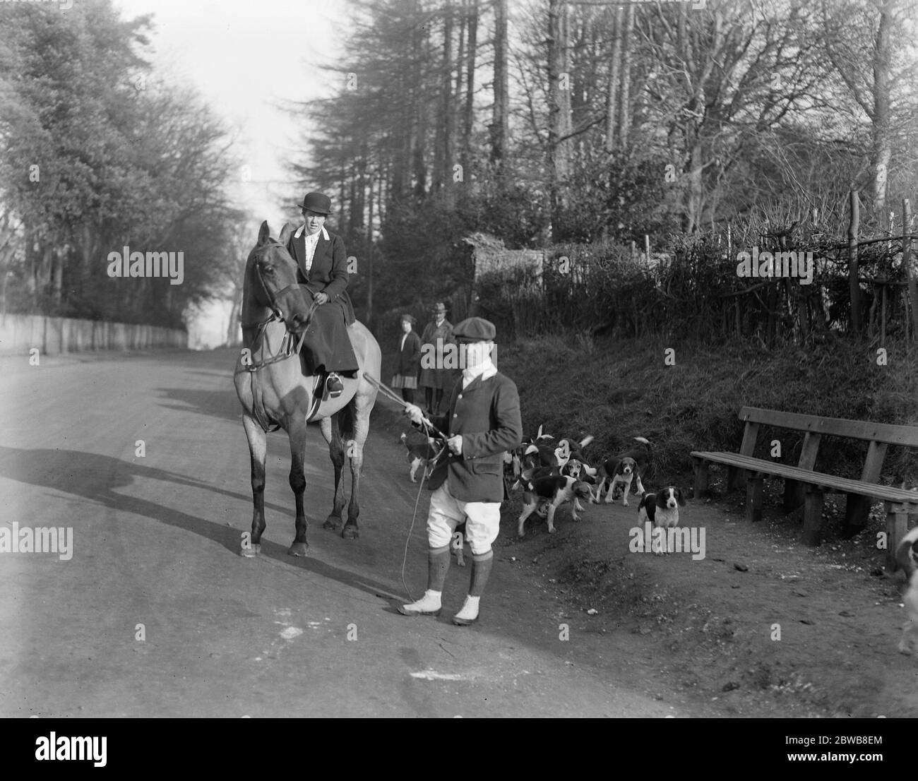 Monté des adeptes de beagles et une dame maître à Sheldwick Corner près de Faversham , Kent . Mlle J B Dawes , le Maître à la rencontre du 15 décembre 1922 Banque D'Images