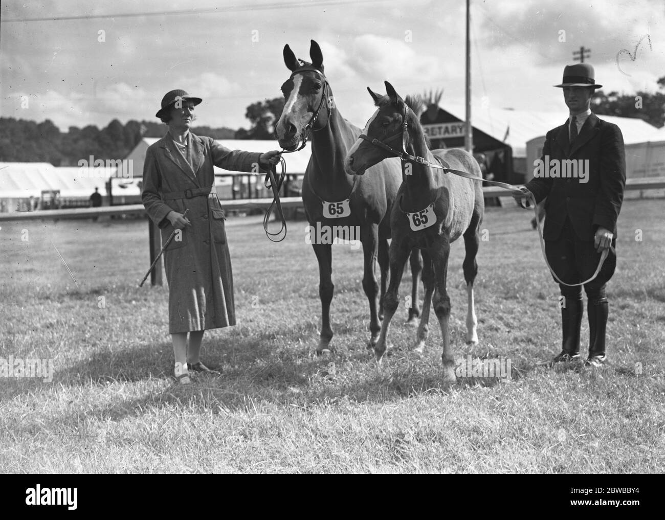 Tunbridge Wells et les comtés du Sud-est Montrez le capitaine et Mme V Morse avec leur jument 'Grey Granite' et colt ' Lazy ' 18 juillet 1939 Banque D'Images