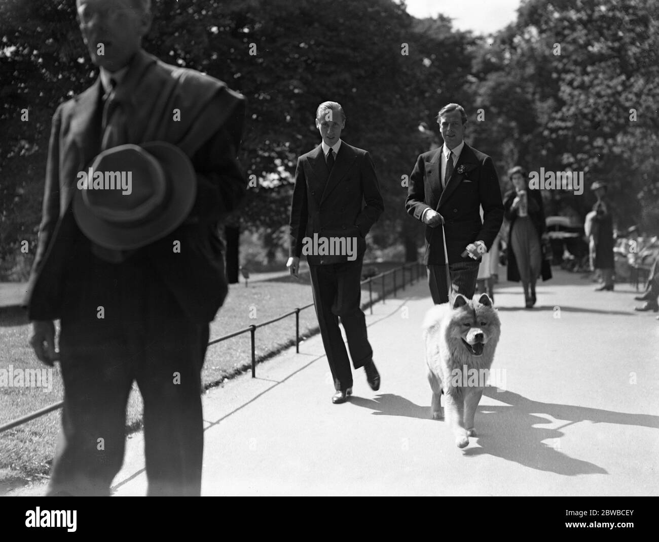 Dans le parc . Le duc de Kent et sa chow , pour une promenade avec Lord Herbert , son équerry . Banque D'Images