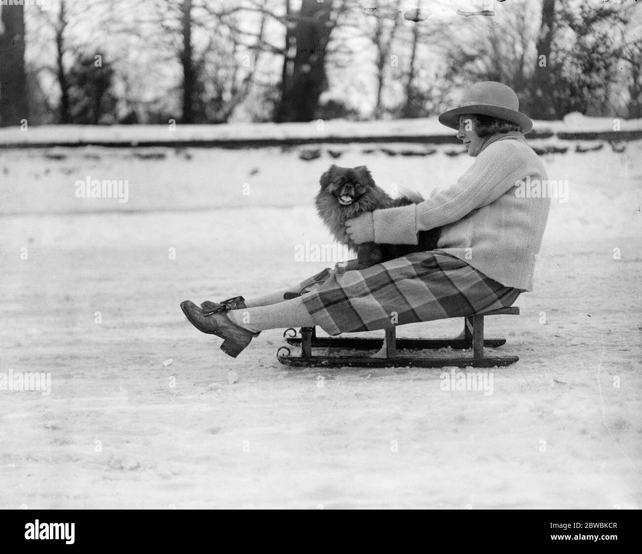 Sports d'hiver de l'Angleterre en plein swing . Un chien chanceux va pour une promenade . 1922 Banque D'Images