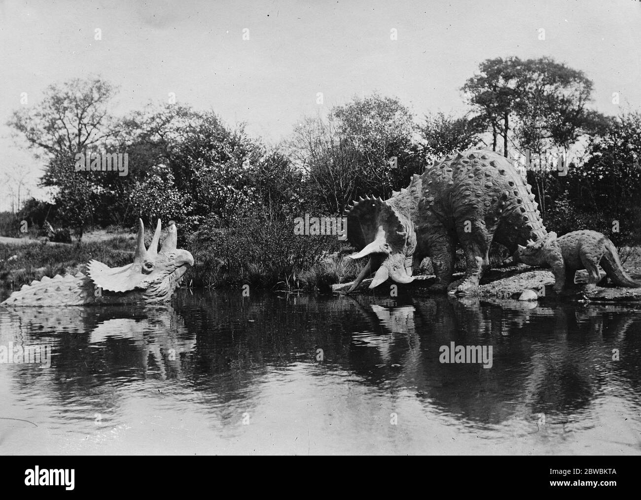 Une paire de créatures étranges de l'espèce connue sous le nom de triceratops prosus photographiée dans le célèbre zoo de Hagenbeck à Hambourg . 22 mai 1920 Banque D'Images