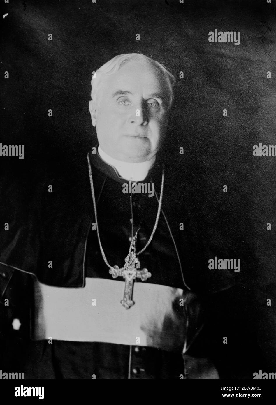 Archevêque John Murphy Farley , prétardif irlandais de l'Église catholique romaine . Il fut archevêque de New York de 1902 jusqu'à sa mort en 1918 , et créa un cardinal en 1911 . Banque D'Images