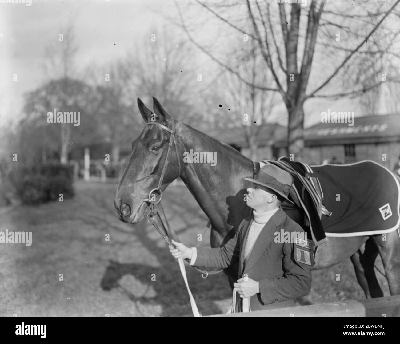 ' Silvo ' , F B Rees . 1925 Banque D'Images
