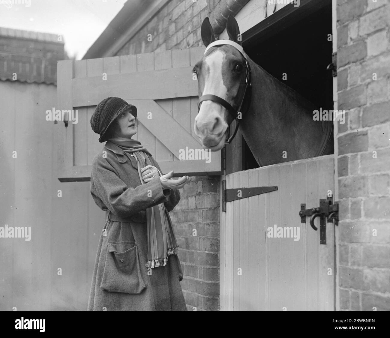 Mme Ian Bullough ( Mlle Lily Elsie ) à sa nouvelle maison , Drury Lane Farm , Gloucestershire . Avec son chasseur préféré 5 janvier 1921 Banque D'Images