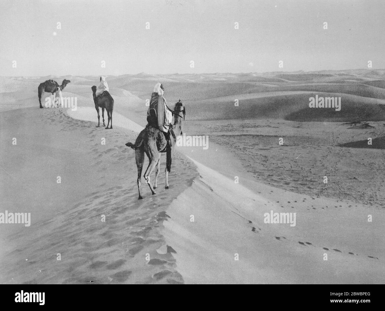 Sahara recherche de l'équipage du navire à air perdu . Une vue saisissante dans le désert du Sahara , où l'on craint que les survivants de l'équipage du navire géant Dixmude soient en danger de mort par la faim et la soif . 27 décembre 1923 Banque D'Images