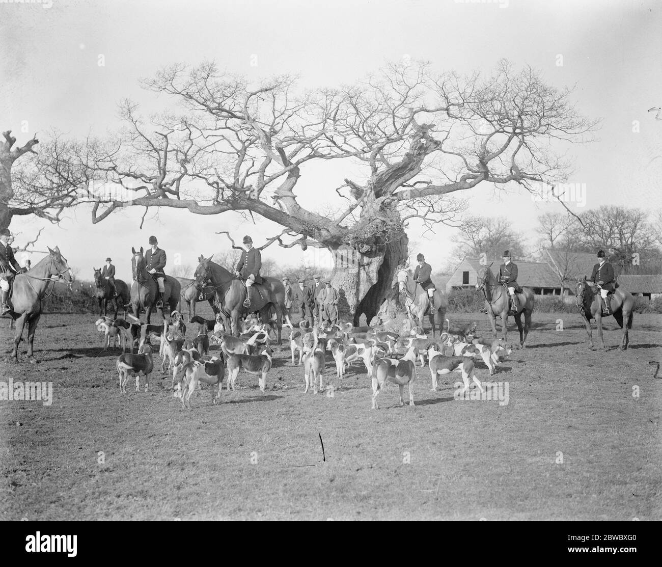 La chasse de Grafton se rencontre à Cowper ' s Oak , Olney . 16 février 1926 Banque D'Images