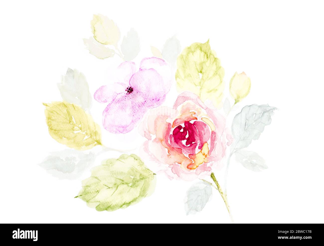 Bouquet d'aquarelles peint à la main fleurs sur fond blanc. Fleurs roses et feuilles, utilisées pour le design de mariage, amour romantique, invitation, Banque D'Images