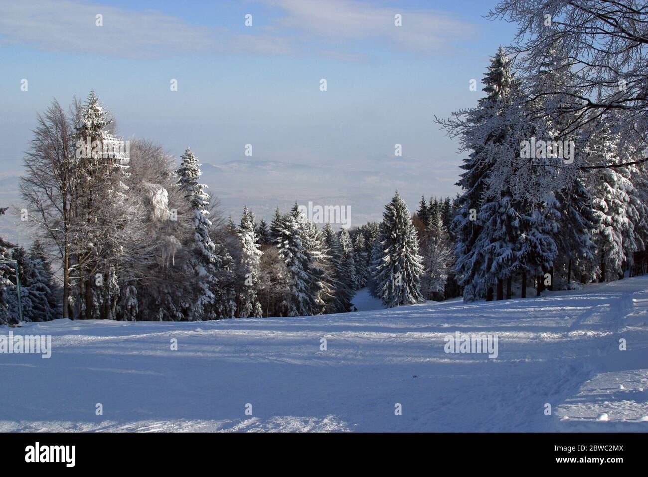 Paysage d'hiver arbres sous la neige sur la montagne Pohorje, Slovénie Banque D'Images