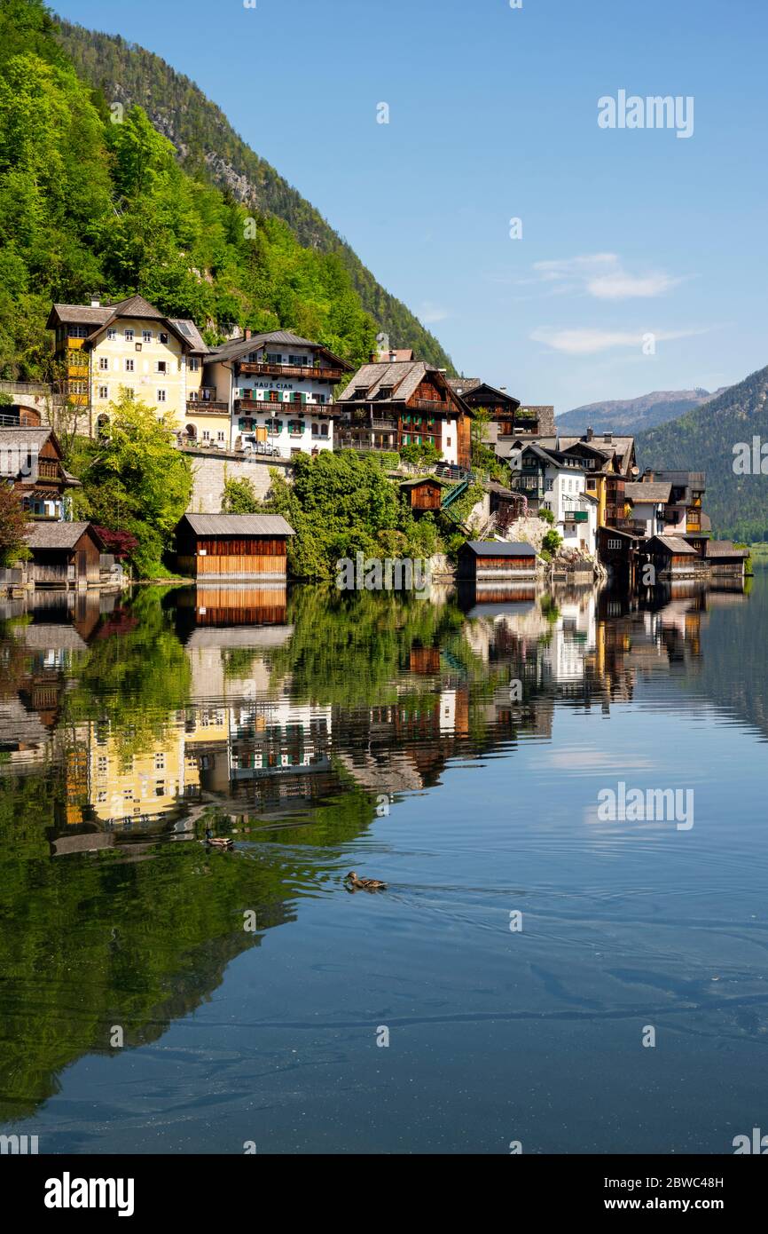 Erwerb, Oberösterreich, Hallstatt, Blick vom Süden auf den Ort und die Bootshäuser am See Banque D'Images