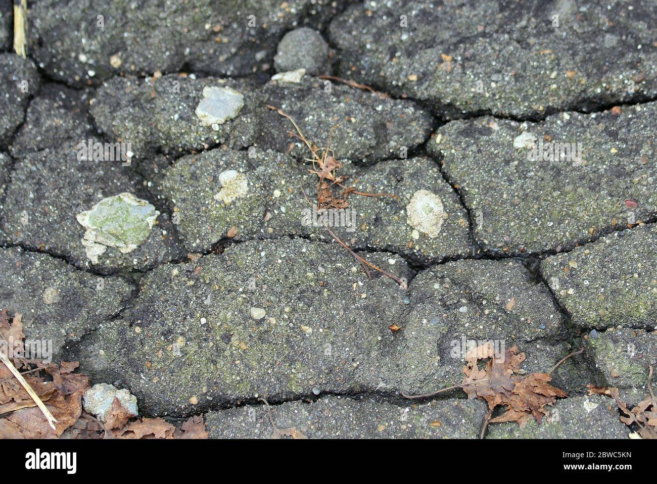 Asphalte vieux noir fissuré avec feuilles sèches. Surface de route usée. La texture de l'asphalte. Banque D'Images