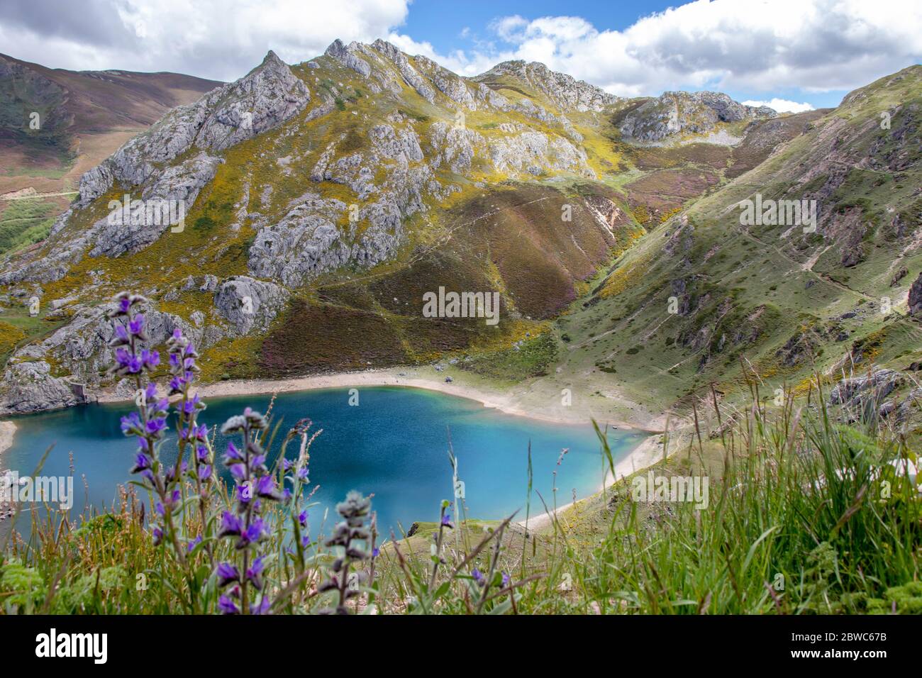 Lac de Cueva dans le parc national de Sexiedo, Espagne, Asturies. Lacs glaciaires de Saliencia. Vue de dessus du point de vue. Fleurs de printemps violets floues sur le f Banque D'Images