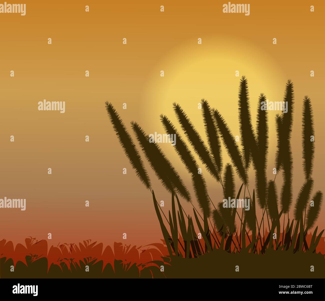 Coucher de soleil avec fleur d'herbe en arrière-plan de la nature Illustration de Vecteur