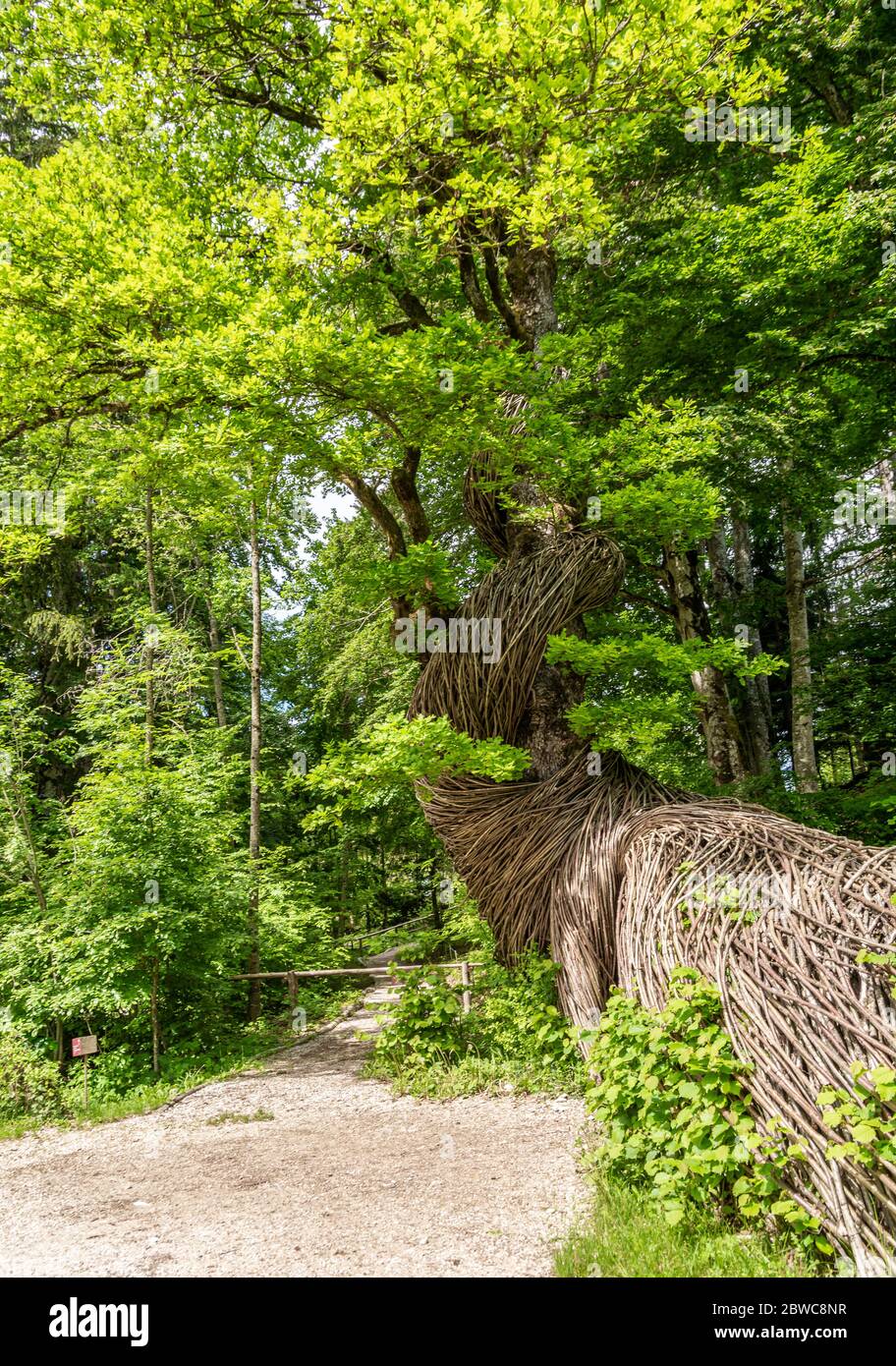 Le bois d'Arte Sella est utilisé dans la nature dans le Trentin-Haut-Adige, Borgo Valsugana, la vallée de la Sella, Borgo Valsugana au nord de l'Italie, en Europe. Arte Sella. Banque D'Images