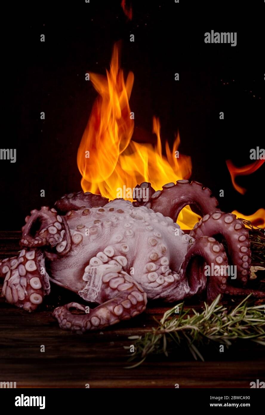 Grand poulpe avec tentacules incurvés contre oа fond sombre avec feu. Préparation poulpe grillée Banque D'Images