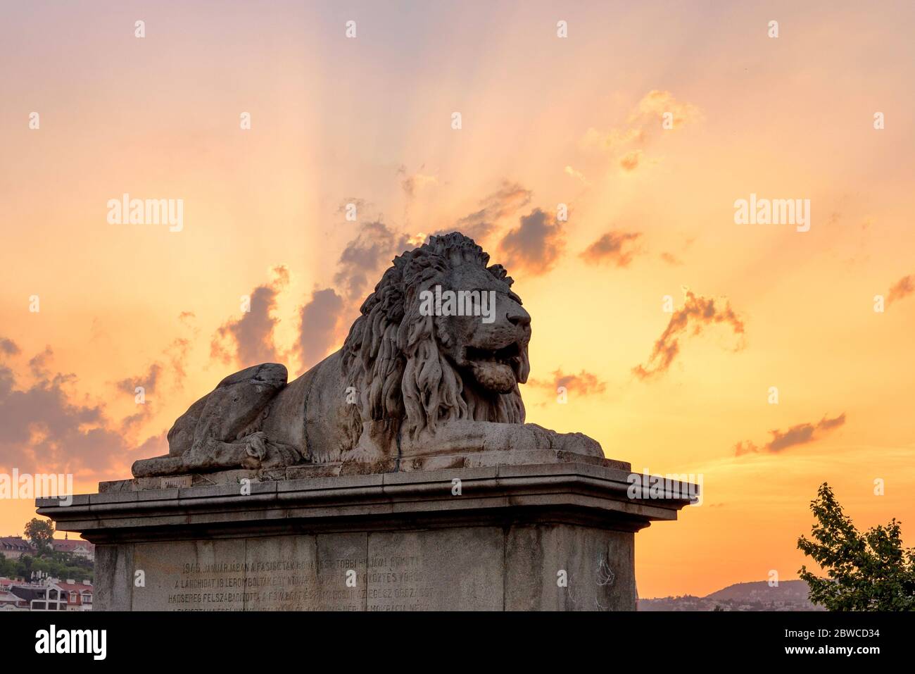 Une statue de lion à la tête d'honneur du pont de la chaîne Szechenyi à Budapest au coucher du soleil Banque D'Images