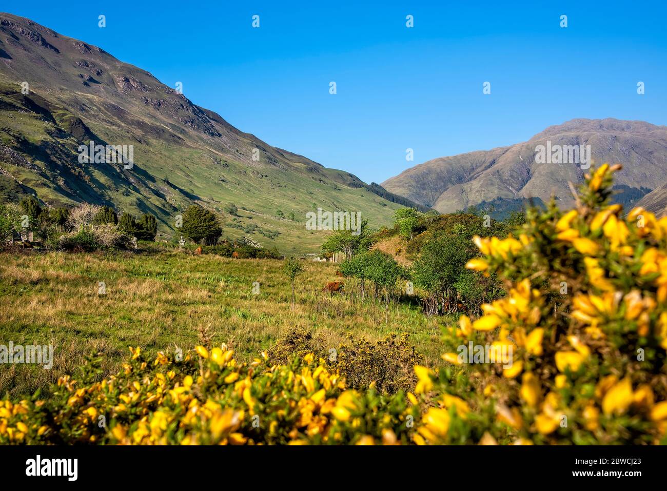 Montagnes et vallées sur la belle île de Skye, en Écosse Banque D'Images
