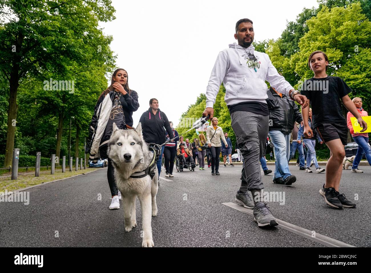 30.05.2020, Berlin, le cuisinier, l'auteur de livres de cuisine, le végan et théoricien de la conspiration Attila Hildmann marche avec d'autres manifestants et son husky sur la Strasse des 17. Juni au Reichstag de Berlin. Hildmann critique les mesures de corona. | utilisation dans le monde entier Banque D'Images