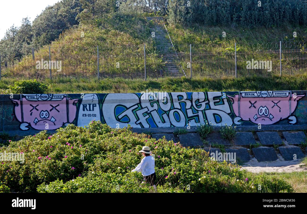 Portobello, Édimbourg, Écosse, Royaume-Uni. 31 mai 2020. Un hommage aux graffitis a été peint à l'extrémité Seafield de Portobello Beach, à la suite de la mort tragique de George Floyd, alors que des manifestants aux États-Unis manifestent contre la brutalité policière envers les Afro-Américains.les mots « RIP 25/05/2020 George Floyd », Sont écrits à côté de cochons têtes derrière les barreaux et le nom de l'officier de police de Minneapolis en dégrissement Derek Chauvin, qui a été accusé de l'assassinat de M. Floyd. Crédit : Arch White/Alay Live News. Banque D'Images