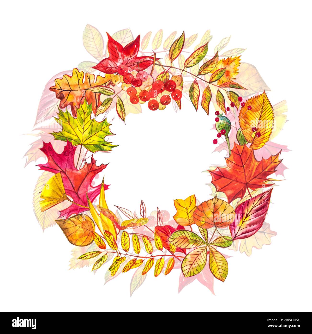 Composition d'automne. Couronne faite de petits fruits d'automne et de feuilles sur fond blanc. Les illustrations à l'aquarelle Banque D'Images