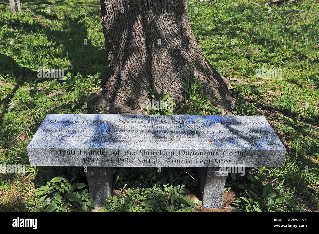 Banc commémoratif Forsythe Meadow County Park Stony Brook long Island New York Banque D'Images