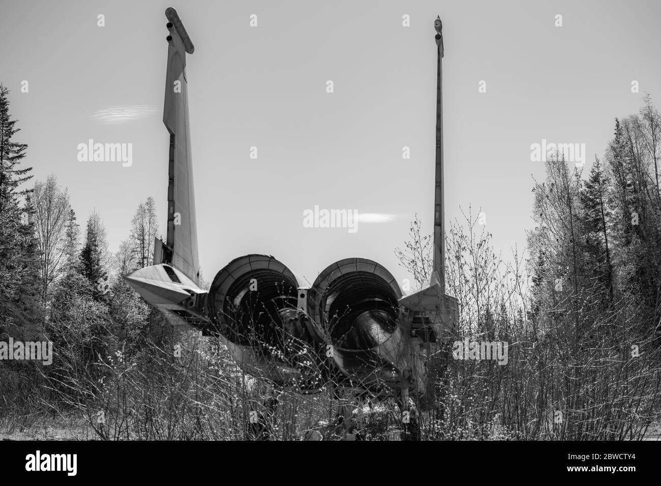 Cette F15 meurt lentement dans la forêt de l'Alaska. Banque D'Images
