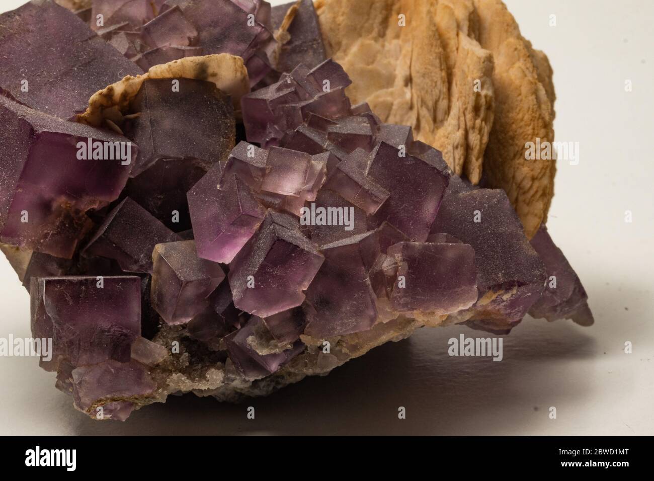 échantillon minéral avec cristaux de fluorite violets Banque D'Images