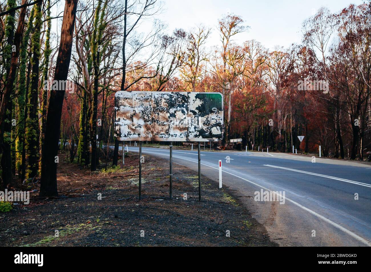 Lake Mountain après les feux du samedi noir en Australie Banque D'Images