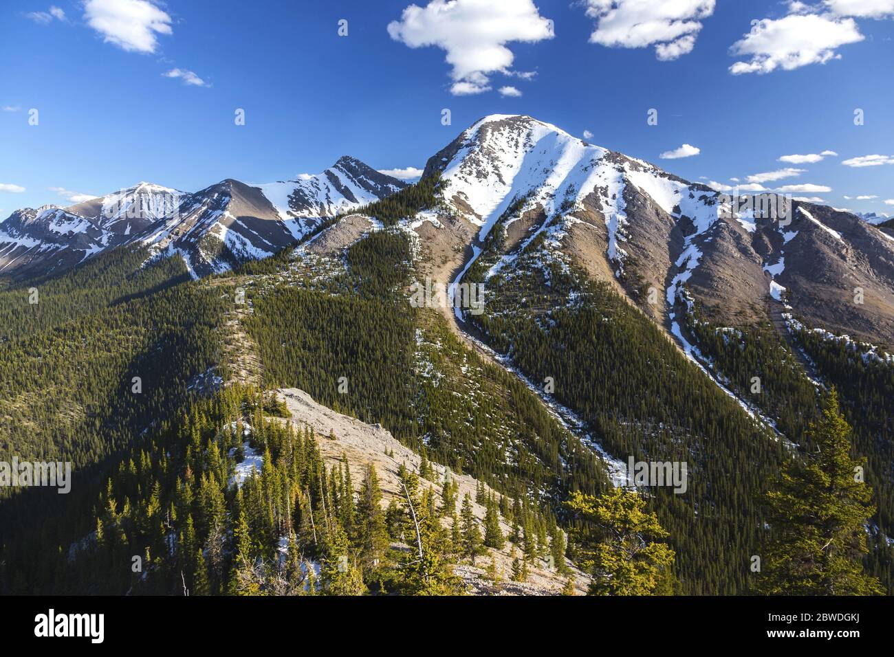 Sommets enneigés des montagnes et paysages de printemps boisés verts de la crête avec ciel bleu dans le pays de Kananaskis, Alberta Foothills of Canadian Rocky Mountains Banque D'Images