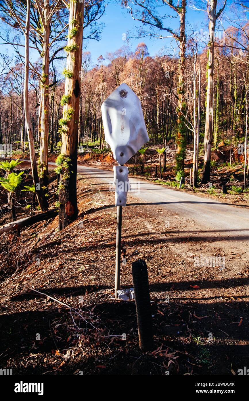 Lake Mountain après les feux du samedi noir en Australie Banque D'Images