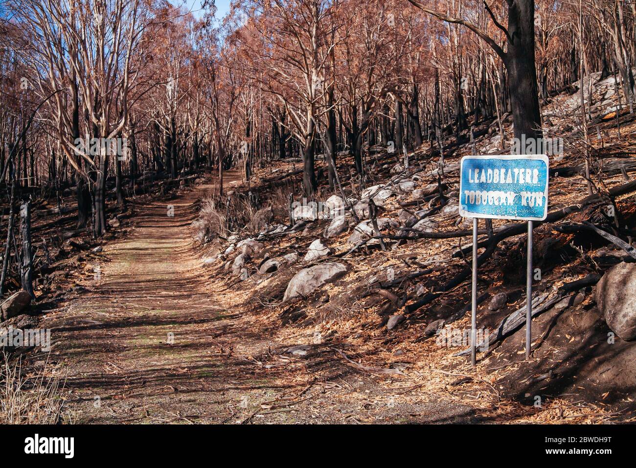 Lake Mountain après les feux du samedi noir en Australie Banque D'Images