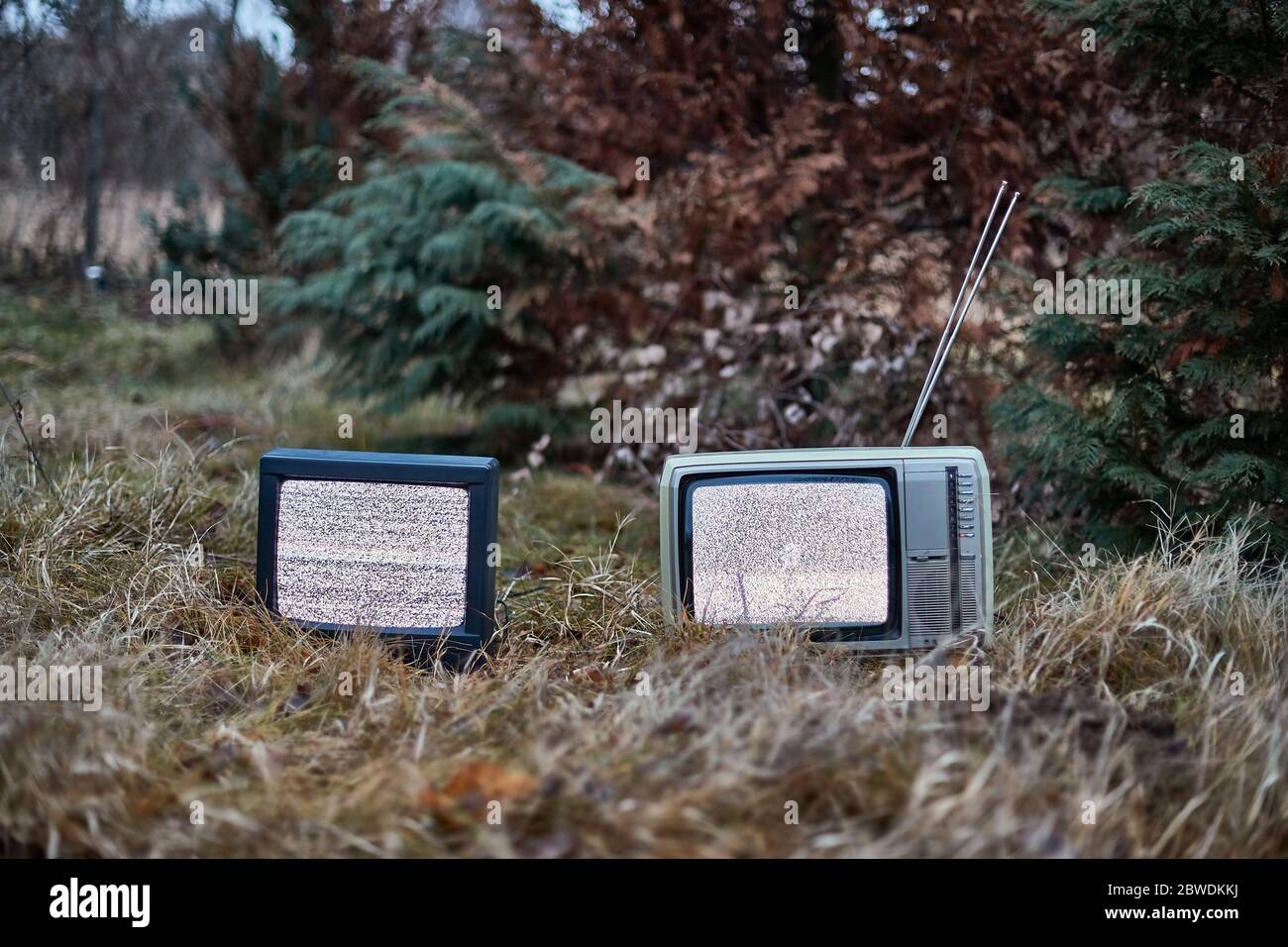 Aucun signal TV dans l'herbe Banque D'Images