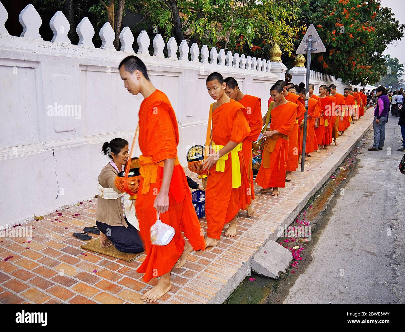 Nourriture pour les moines à Luang Prabang, Laos Banque D'Images