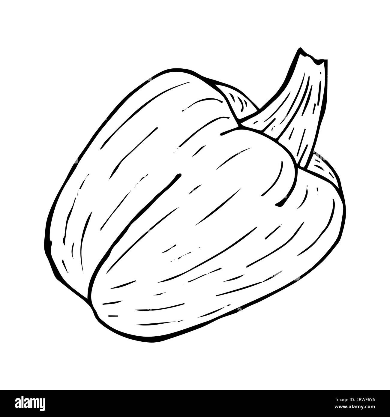 Dessin de poivron ligne noire isolée sur fond blanc illustration vectorielle pour le design et la décoration Illustration de Vecteur