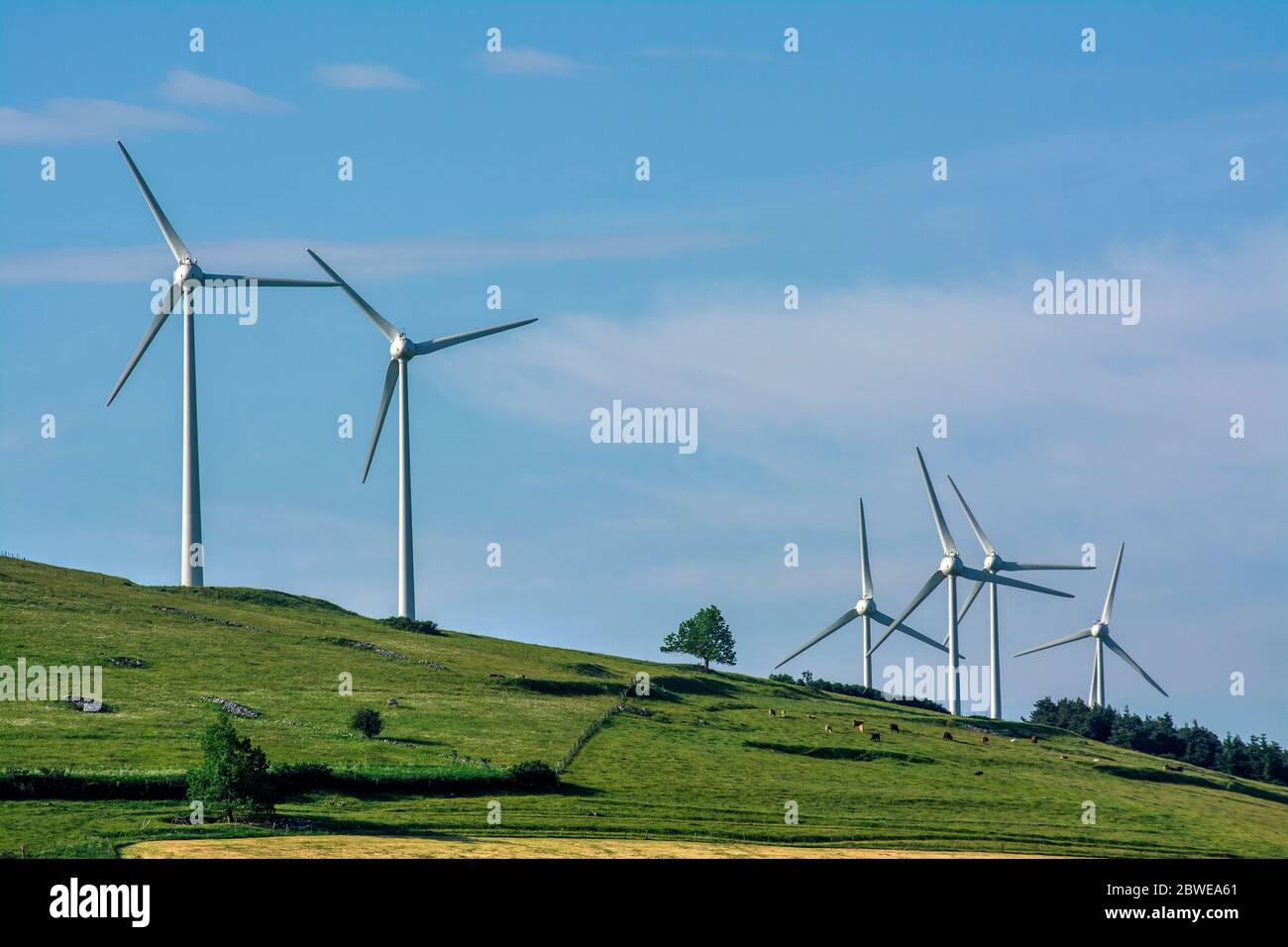 Éoliennes. Plateau de Cezallier. Parc naturel régional des Volcans d'Auvergne. Puy de Dôme. Auvergne. France Banque D'Images