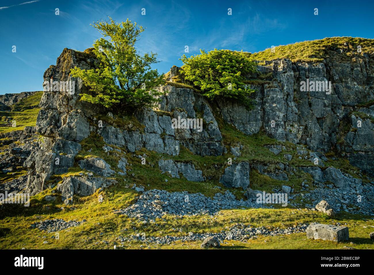 Arbres poussant sur le visage d'une carrière de calcaire abandonnée sur la montagne Noire dans les Brecon Beacons. Banque D'Images Arbres poussant sur le visage d'une carrière de calcaire abandonnée sur la montagne Noire dans les Brecon Beacons. Banque D'Images