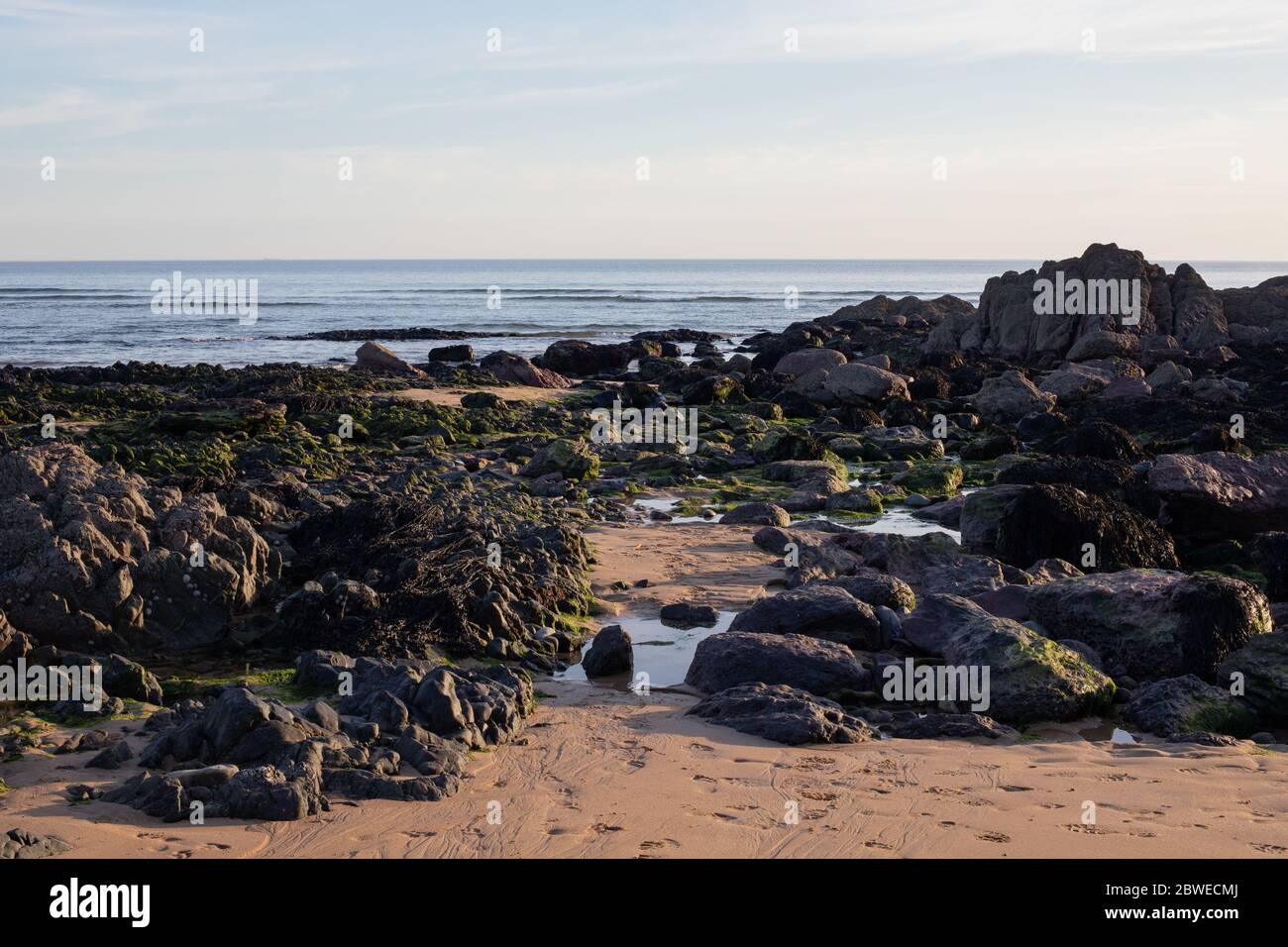 Rochers au bord de la plage Freshwater West. Banque D'Images
