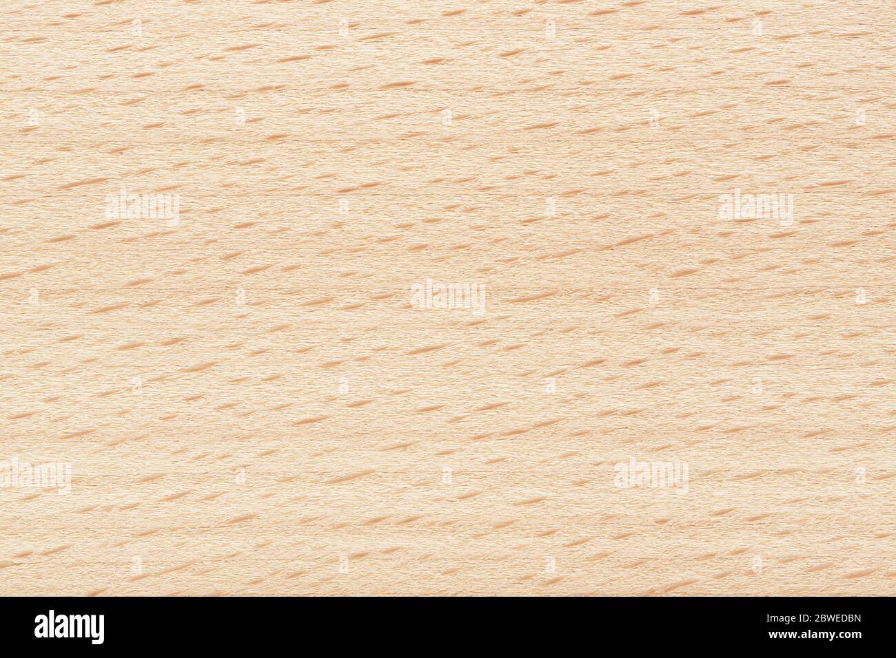 Texture hêtre. Bandes et tirets de fond en contreplaqué. Couleur beige naturel. Banque D'Images