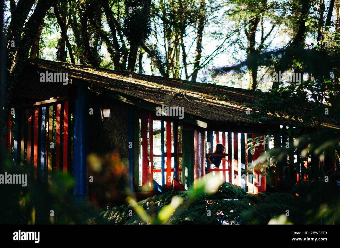 Un garçon méconnaissable se cachant dans une maison d'arbre colorée au milieu de la forêt. Banque D'Images