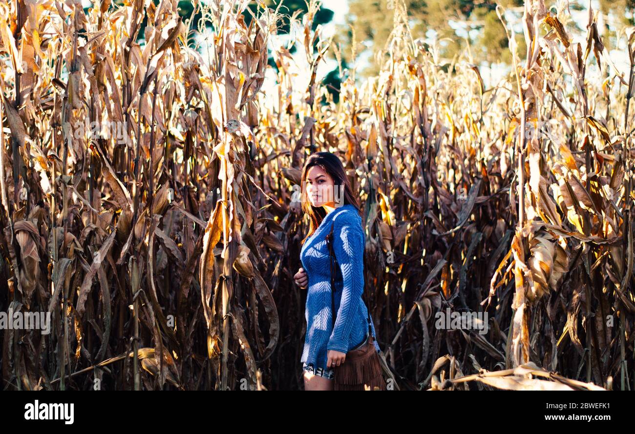 Une jeune femme brune adulte en blouson bleu dans un champ de maïs regardant la caméra. Banque D'Images