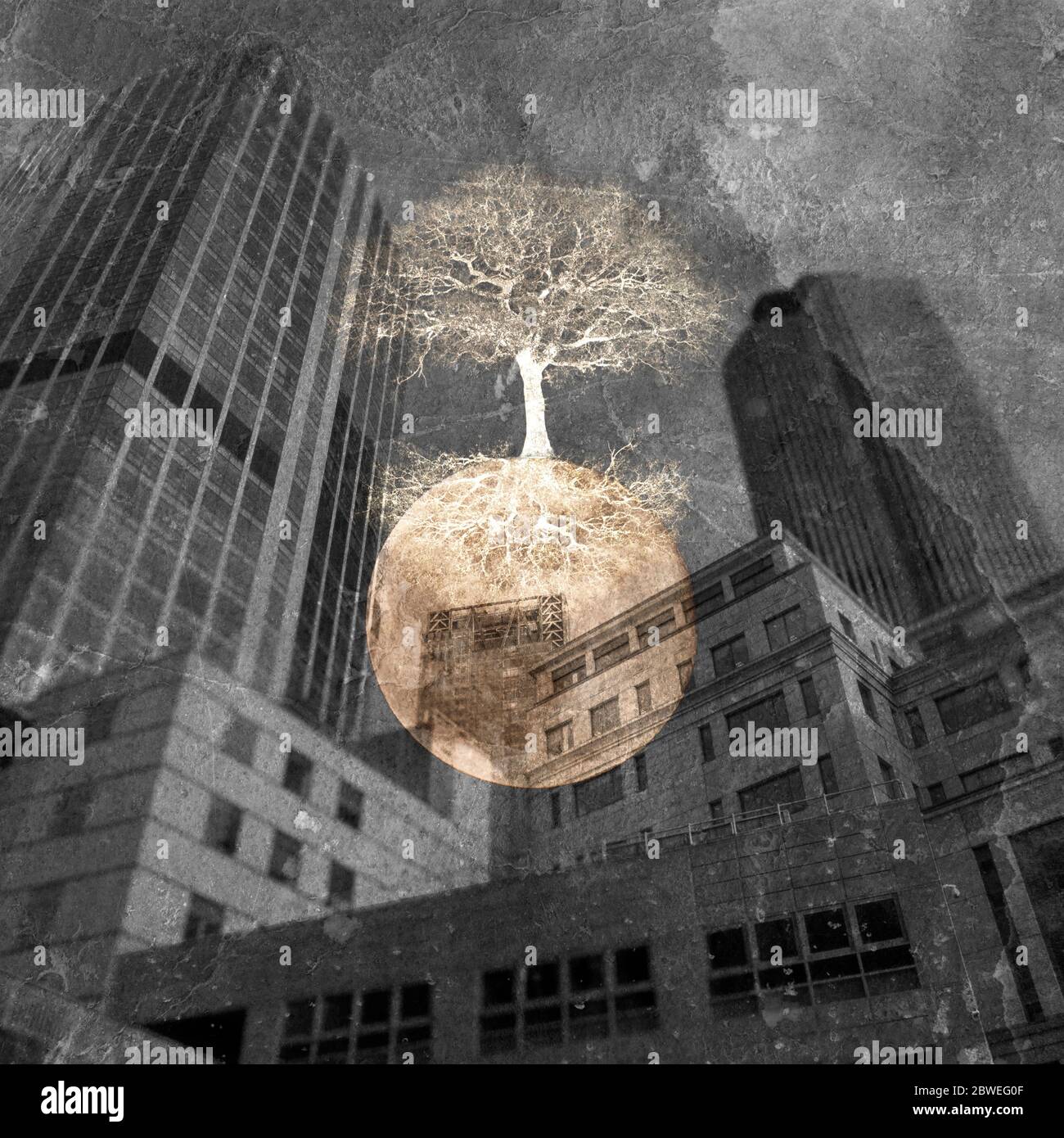 Paysage urbain avec un arbre lumineux sur une sphère ou un globe avec différentes textures. Banque D'Images