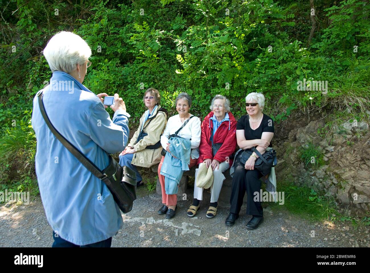 Femme âgée prenant la photo d'un groupe de quatre amis assis sur un banc, pays de Galles Banque D'Images
