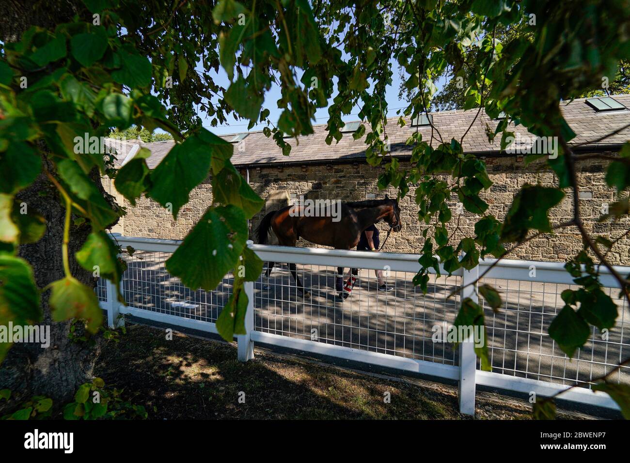 Un marié mène un cheval de course aux écuries après avoir atteint l' hippodrome de Newcastle . Date de publication : lundi 1er juin 2020. Horse Racing au Royaume-Uni est revenu à l'action lundi après la fermeture du coronavirus. Voir PA Story RACING Newcastle. Le crédit photo devrait se lire comme suit : Alan Crowhurst/PA Wire Banque D'Images Un marié mène un cheval de course aux écuries après avoir atteint l' hippodrome de Newcastle . Date de publication : lundi 1er juin 2020. Horse Racing au Royaume-Uni est revenu à l'action lundi après la fermeture du coronavirus. Voir PA Story RACING Newcastle. Le crédit photo devrait se lire comme suit : Alan Crowhurst/PA Wire Banque D'Images