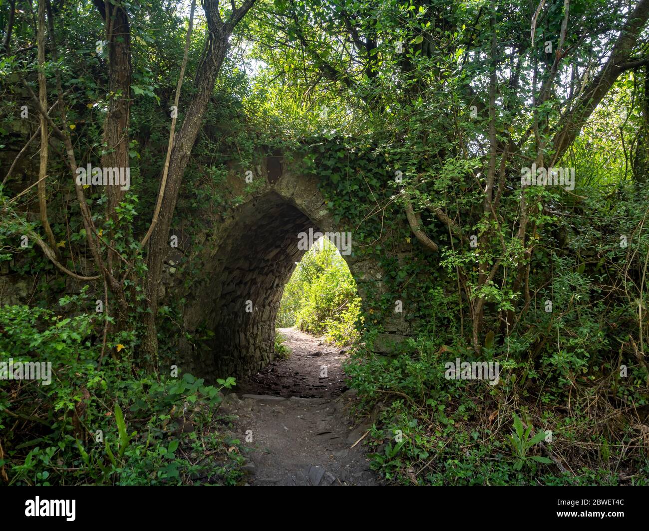 Petit vieux pont voûté en pierre, caché dans la nature sous-pousse et mauvaises herbes. Passerelle masquée en vert. Banque D'Images