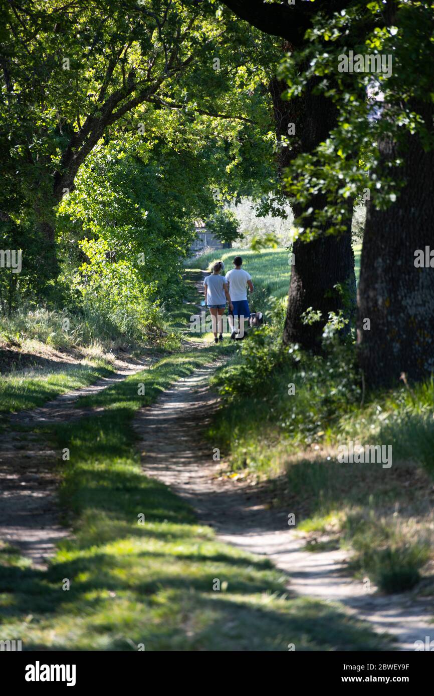 Un garçon et une fille vus de derrière marchent dans une route de campagne en Ombrie, en Italie, dans la lumière chaude du soleil Banque D'Images