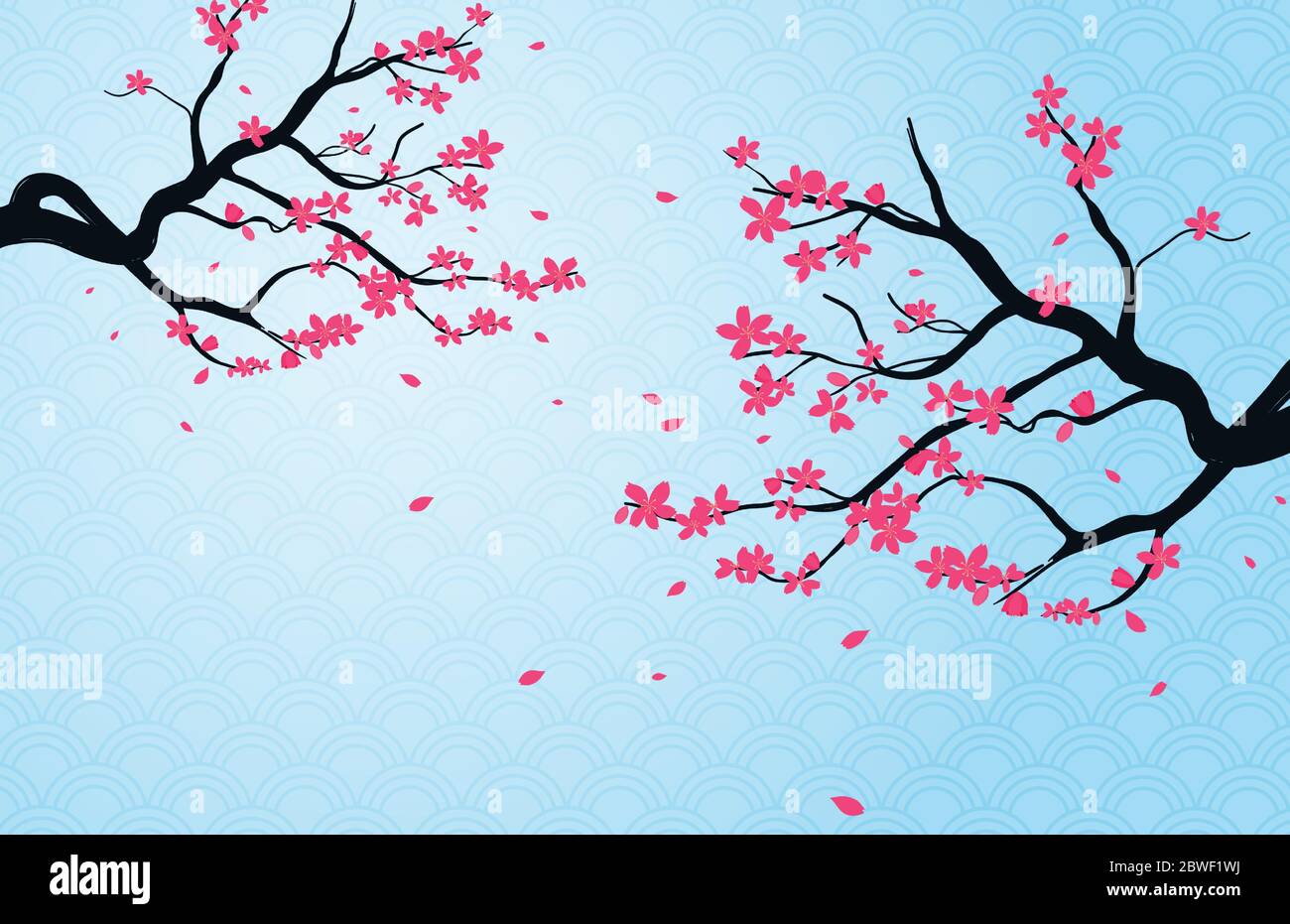 Arrière-plan en cerisier à motif japonais. Illustration de Vecteur