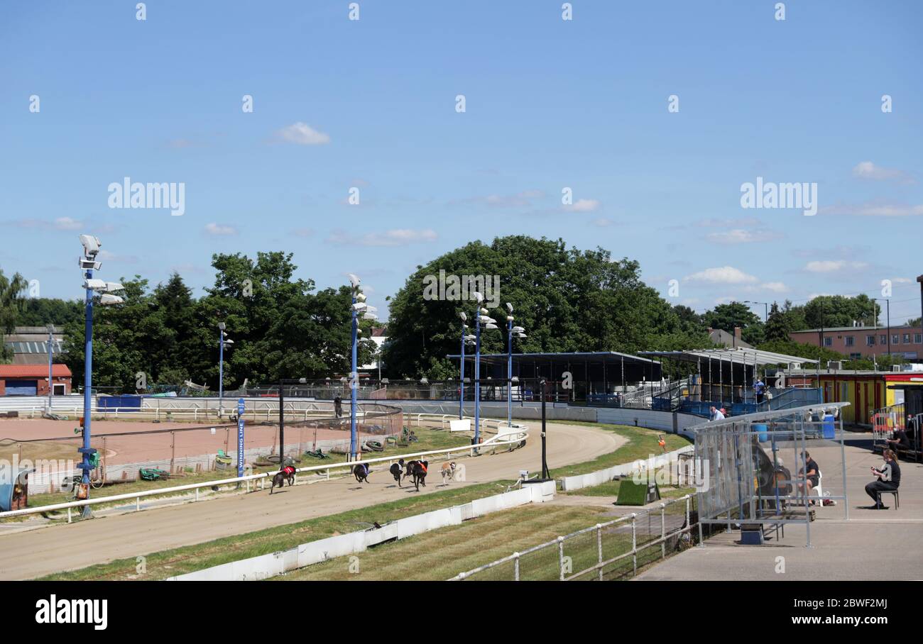 Les lévriers se mettent en route dans le virage lors de la course 12:21 au stade de Perry Barr Greyhound. Banque D'Images