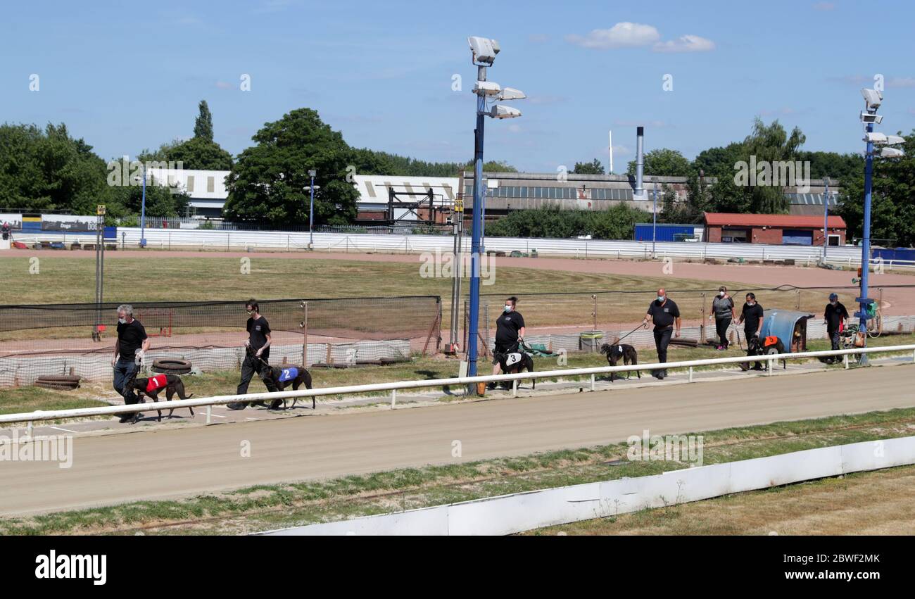 Les lévriers sont à l'avant-tête de la course 12:21 au stade de Perry Barr Greyhound. Banque D'Images